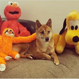 Meet your Posher, Stefania